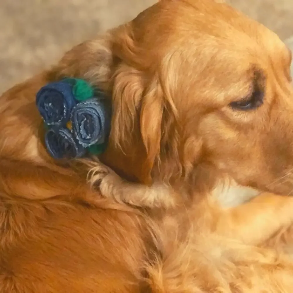 Floral Dog Collar Embellishment One Size